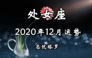 处女座在2020年十二月运势