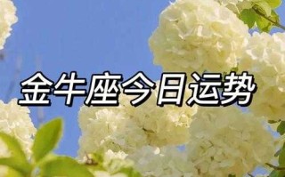 金牛座4.11运势