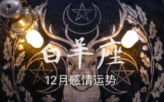 2020年白羊座12月份感情运势塔罗