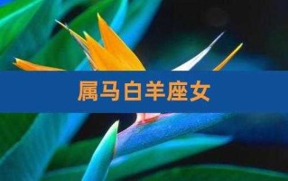 属马白羊座在2021年5月感情状态