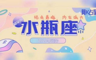 水瓶痤2020年运势