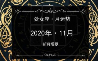 处女座2020年11月感情运势完整版