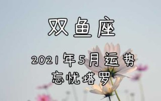 双鱼座运势5月运势