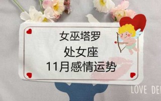 处女座2020年11月爱情运势