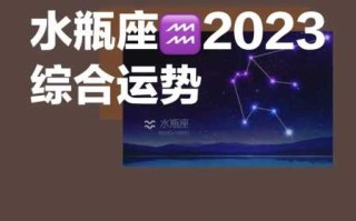 水瓶座2020年1月运势