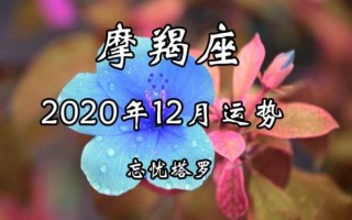 摩羯座2020年12月运势完整版