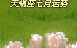 天蝎座2020年7月桃花运势如何