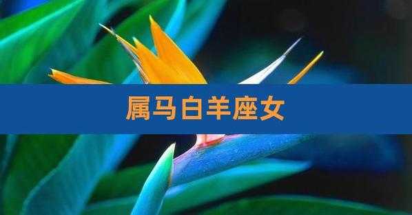 属马白羊座在2021年5月感情状态