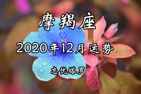 摩羯座2020年12月运势完整版