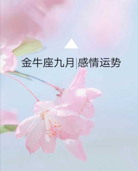 金牛座2021年九月感情运势