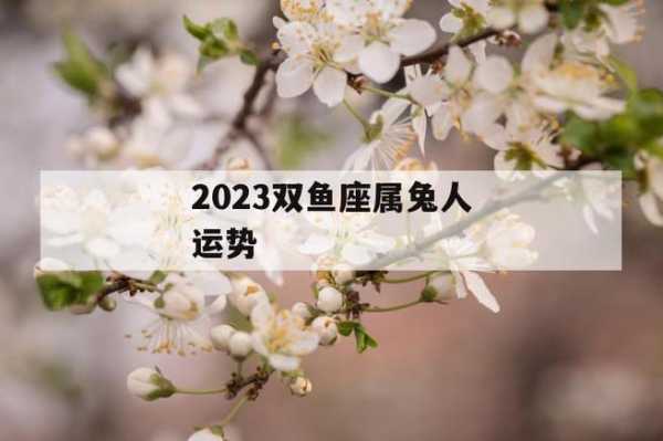 2021年属兔双鱼座全年运势